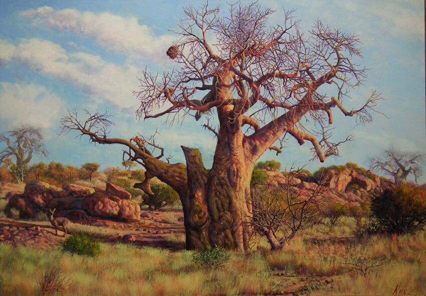 Baobab Tree