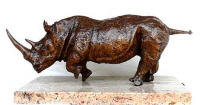 White Rhino