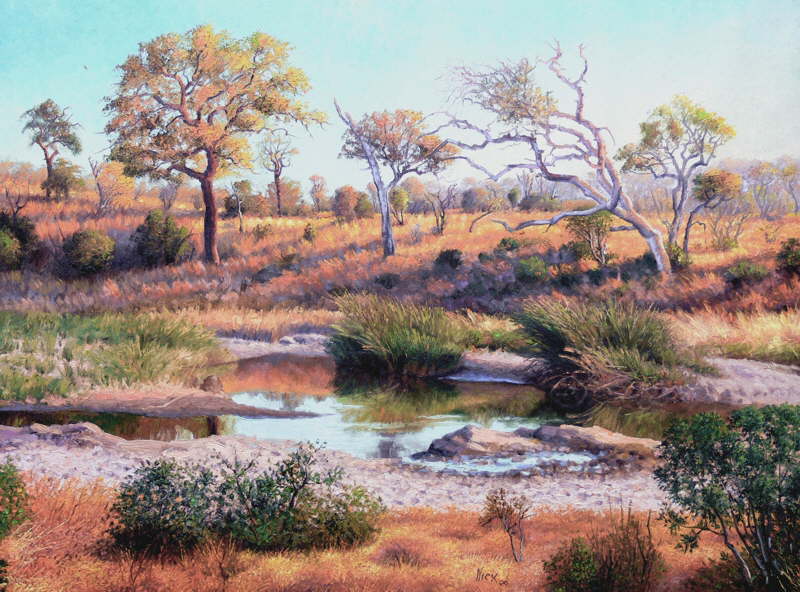 Timbavati river S A